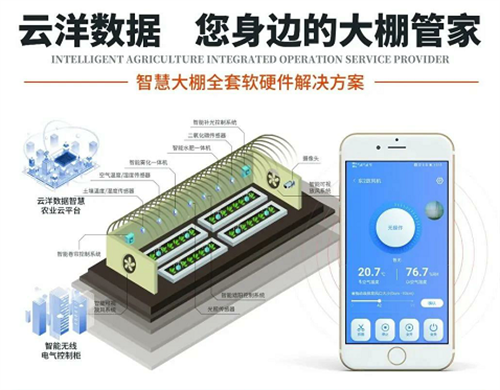 云洋物联：数据赋能农业，科技振兴乡村
