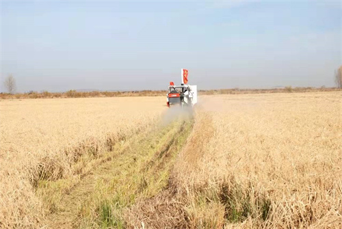 20211213090705_77365.jpg 20211213090705_77365.jpg