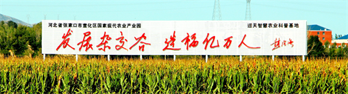 550cc2a3f014725bae0a2bb7c6e343b.png