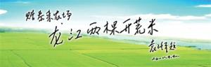 齐齐哈尔农垦开荒米水稻种植专业合作社：黑土孕育稻香情，谱写绿农新篇章