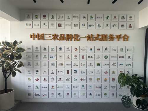 微信图片_20251201105510_686_304.jpg 微信图片_20251201105510_686_304.jpg