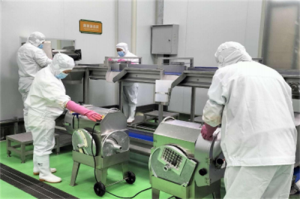 甘肃好食材农业服务有限公司：匠心打造优质农产品，引领绿色健康新风尚