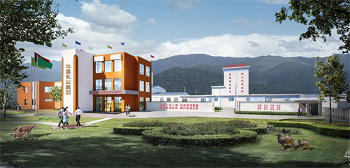 da980907bbf6ad76.jpg