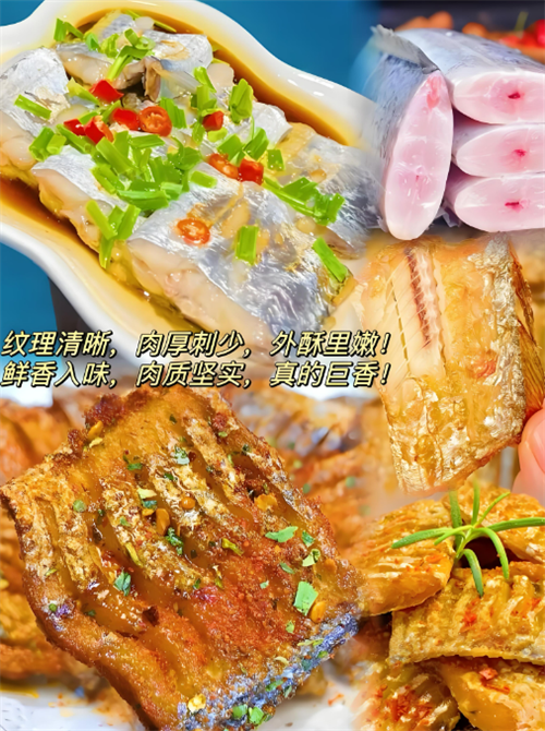 微信图片_20250527114033.png