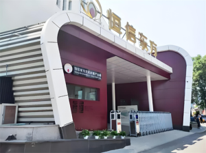 数字为笔 绘就文化新图景——恒信东方探索技术与人文融合之路