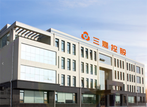 三嘉控股集团：循环经济筑基业 跨国布局谋新篇
