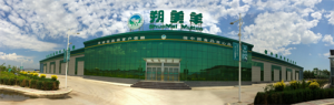 山西朔美羊肉业有限公司：匠心品质塑品牌 全链布局惠民生