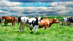 家友缘牛肉：品质坚守铸就品牌，匠心传承创新风味