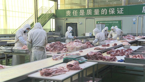 山西朔美羊肉业有限责任公司3.jpg