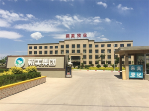 朔美佳味传千里  怀仁羔羊鲜四方