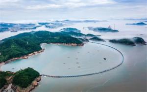 深耕带鱼方寸味 鲜入万家日常餐